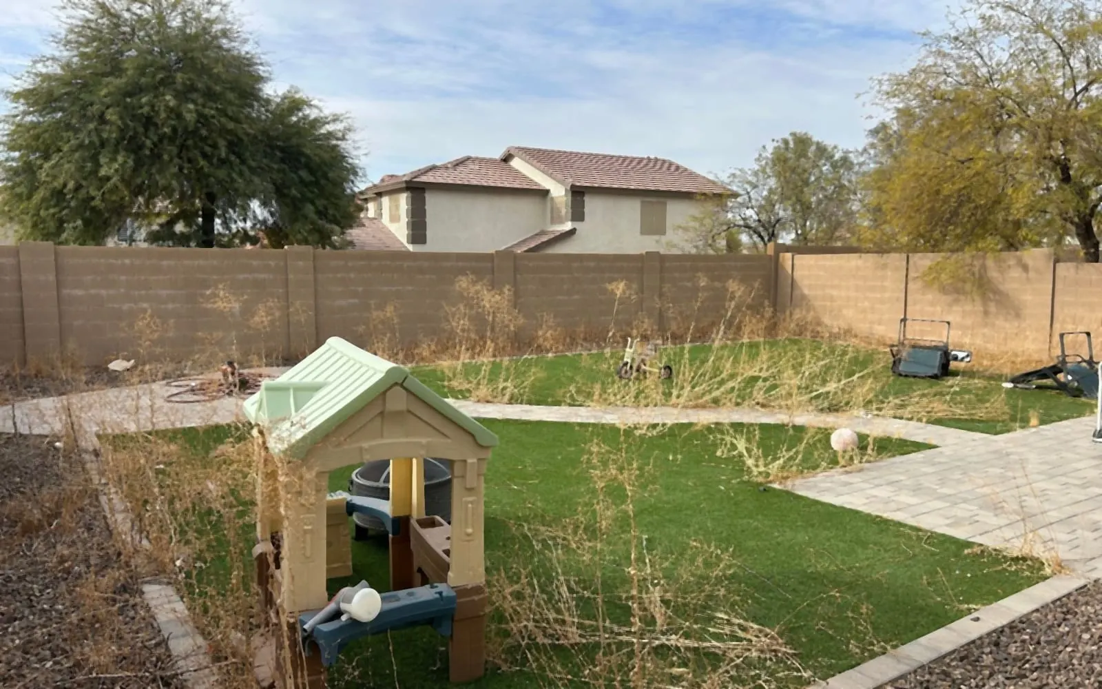 Backyard overrun with tall weeds over the turf and rock