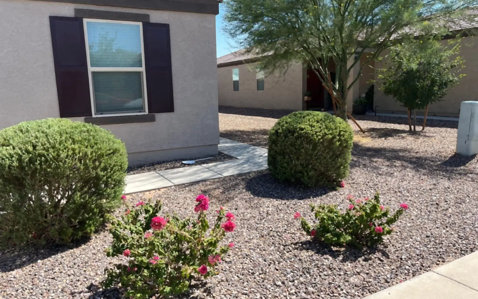 Rock front yard with rounded shrubs and flowering plants
