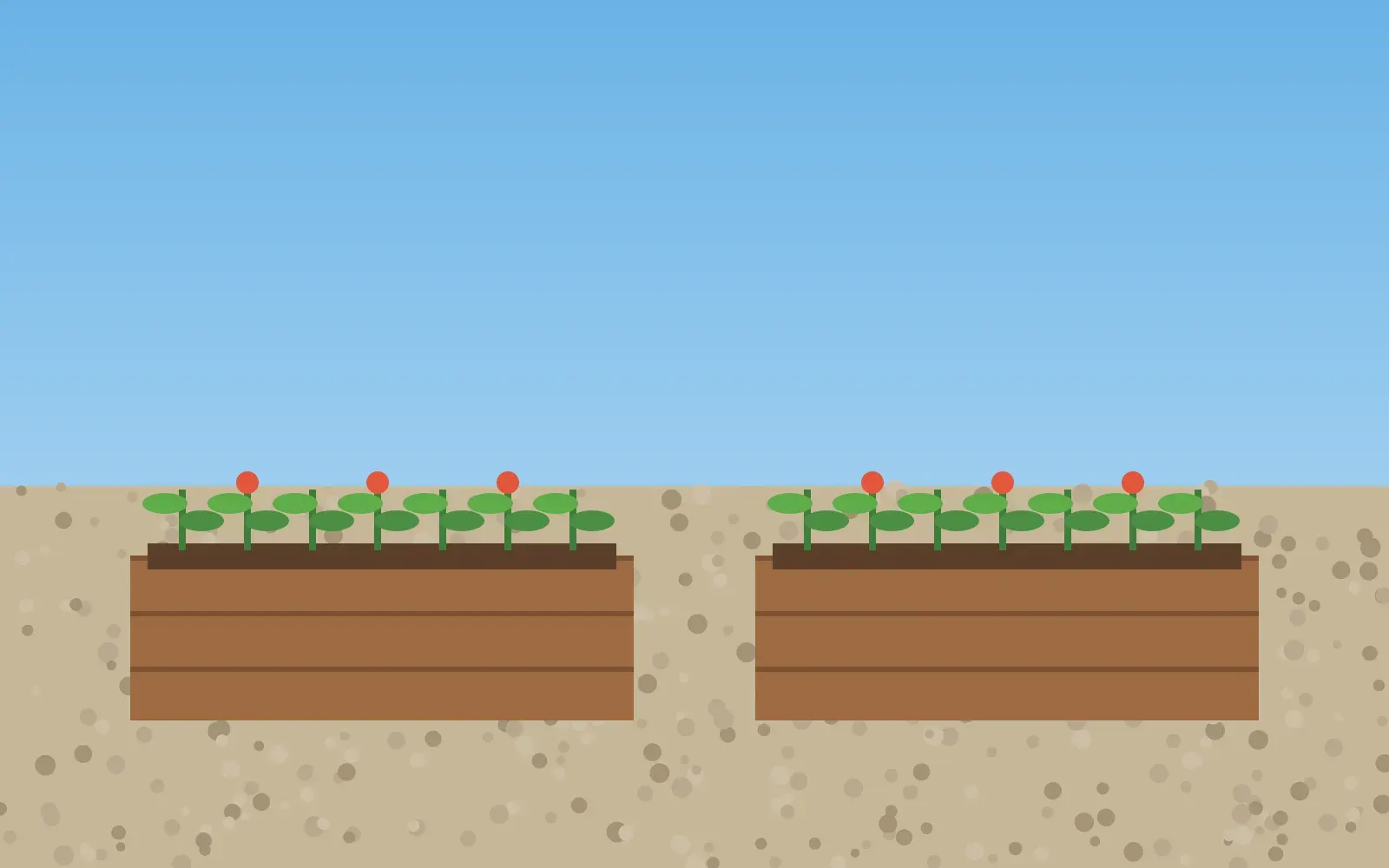 Illustration of two wooden raised garden beds with vegetables