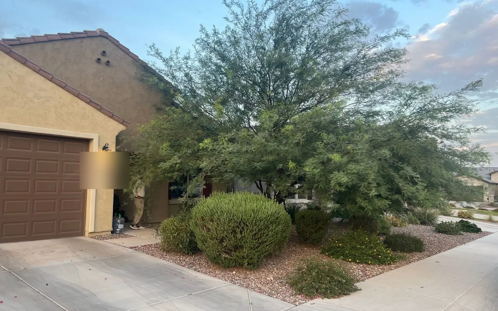 Wide, overgrown tree crowding a front entry