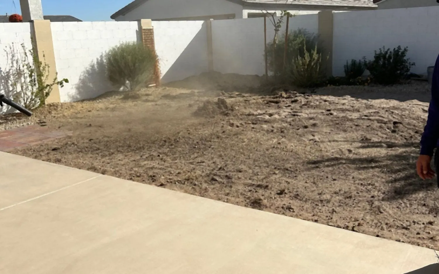 Backyard before: bare dirt next to the patio